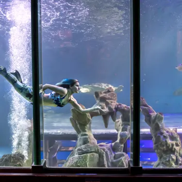 AD Sealife 018