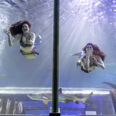 AD Mermaids 039