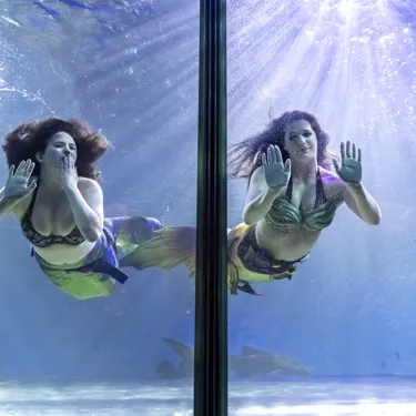 AD Mermaids 005