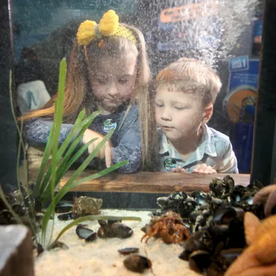 Children At Rockpool