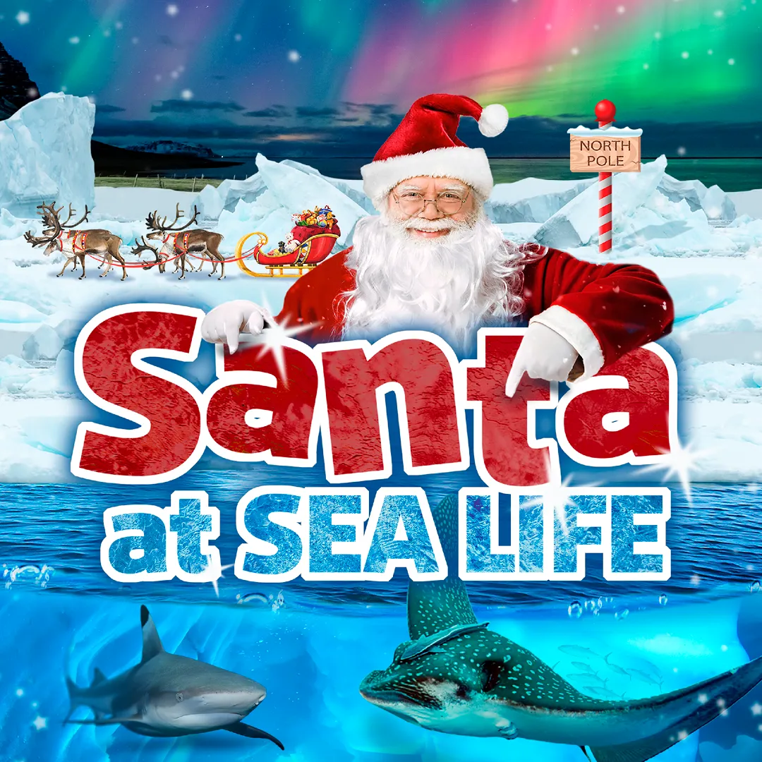 SL BP Santa At SEALIFE 2025 1080X1080px No Logo