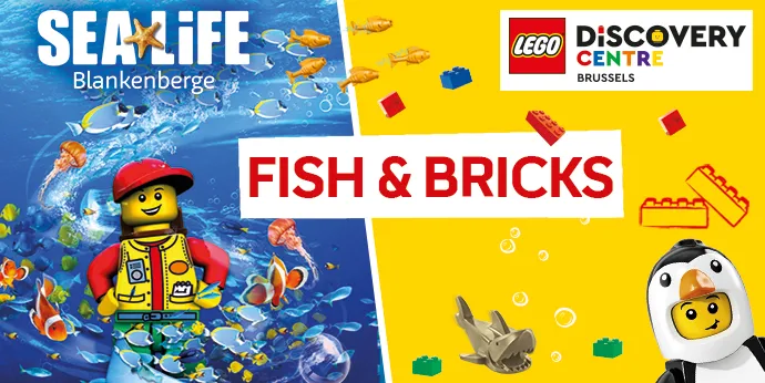 Sealife 690X346 Combischool