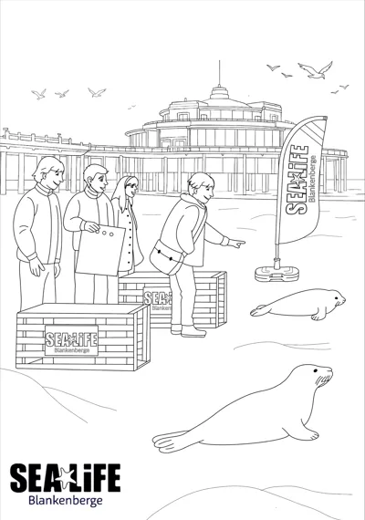 Zeehondenvrijlating