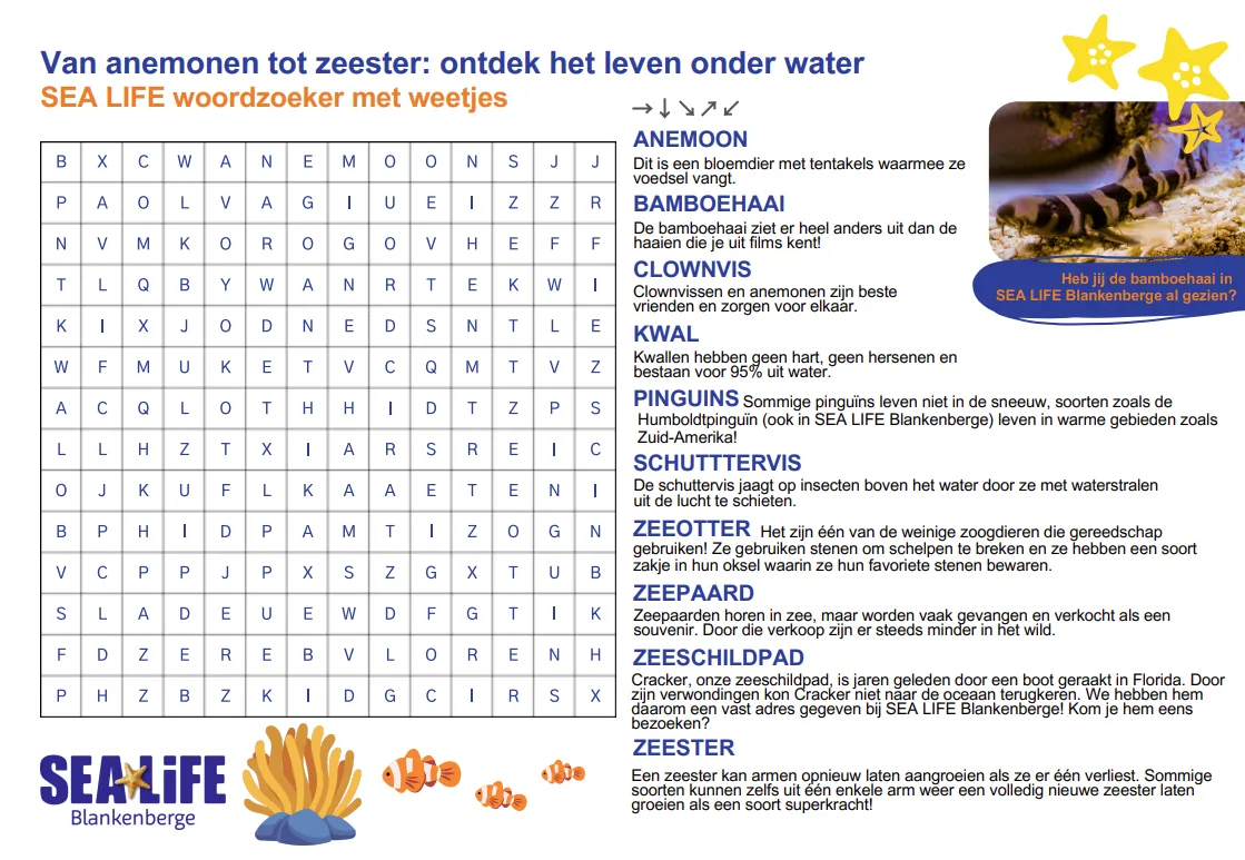Schermafbeelding Woordenzoeker 2