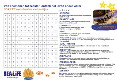 Schermafbeelding Woordenzoeker 2