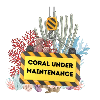 Coral Under Maintanence 404 EN