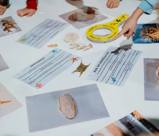 Materiaal voor leerkrachten