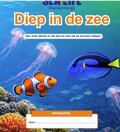 Screenshot Scholenbundel Eerste Graad