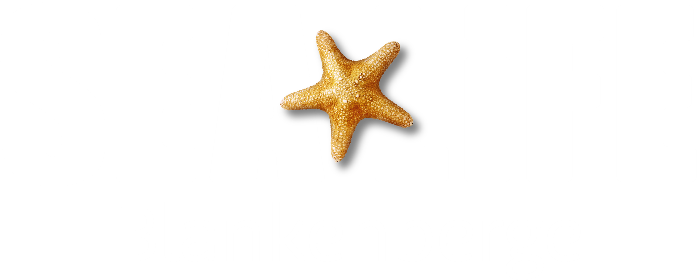 logo SEA LIFE Blankenberge