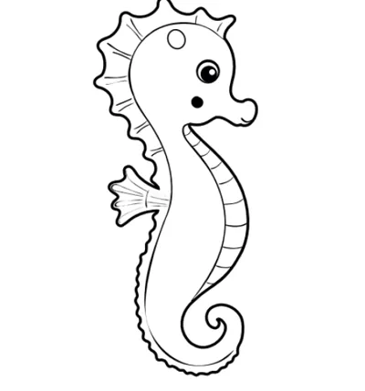 Plaat