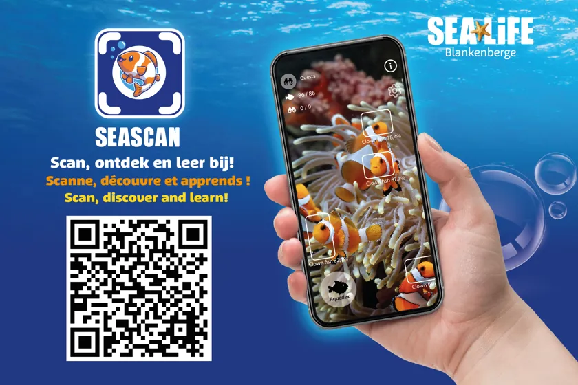 Scan Sea SeaScan