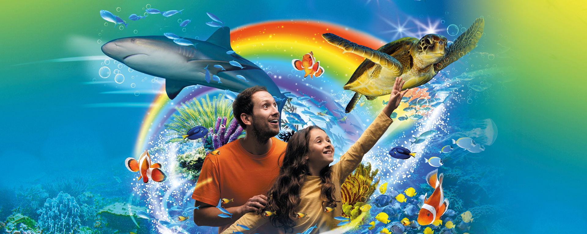 Visit SEA LIFE Bray Aquarium | Bray Attractions