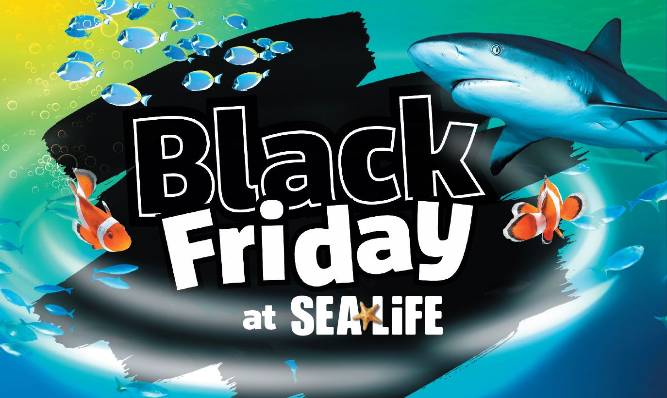 SEA LIFE Bray Black Friday Sale 2022