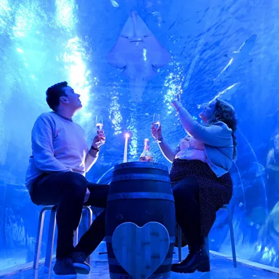 Dinner Date in the ocean tunnel SEA LIFE
