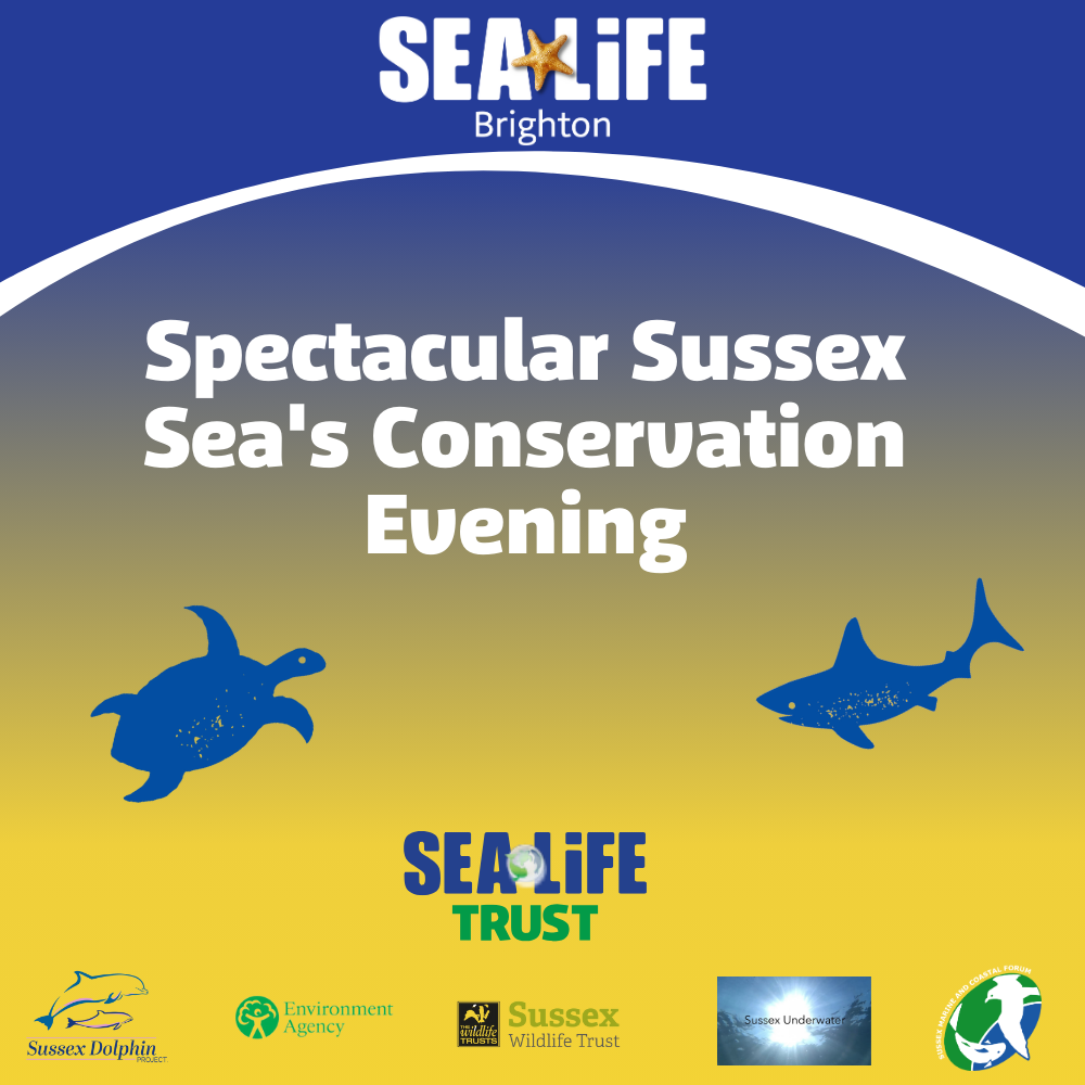 Spectacular Sussex Sea's Conservation Evening 1000X1000 (1)