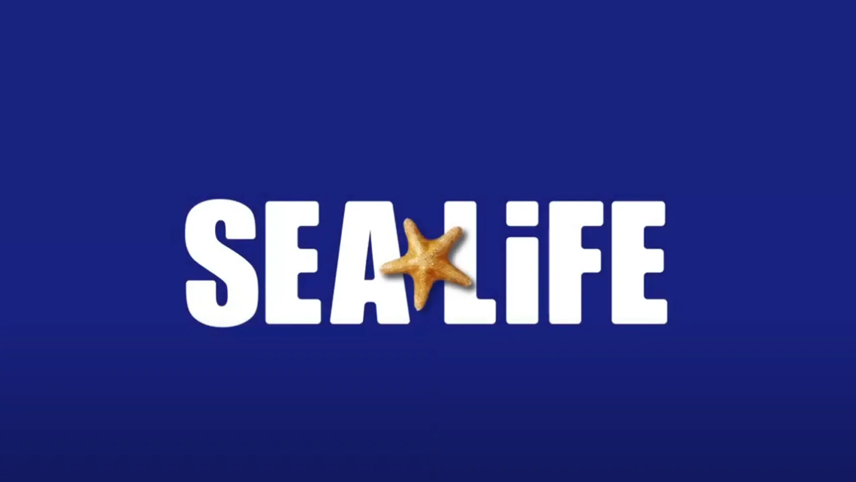 Sea Life Net SEA LIFE Mission | SEA LIFE Brighton Aquarium