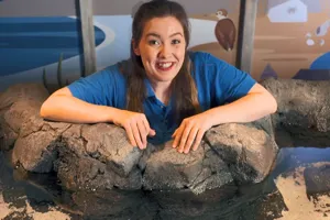 Rockpool Header 1200X600