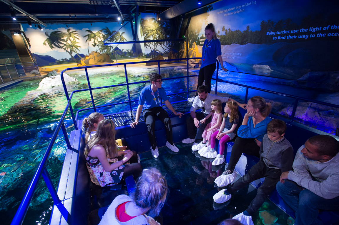 Guests on the glass bottom boat at SEA LIFE Brighton