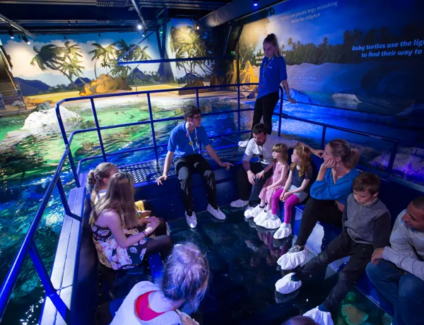 Guests on the glass bottom boat at SEA LIFE Brighton