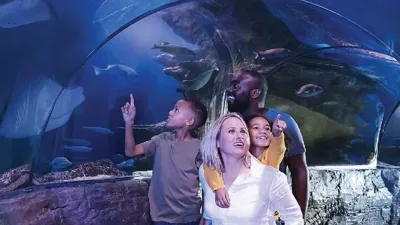 Family In Ocean Tunnel