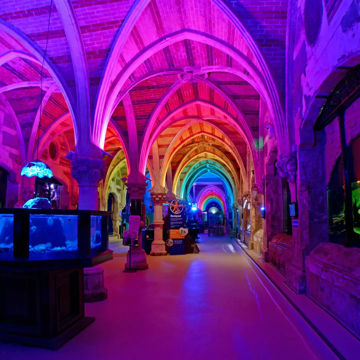 SEA LIFE Brighton Victorian Arcade