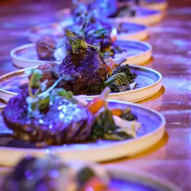 Sealifebrighton Merlinvenues Tomdingleyphoto 082