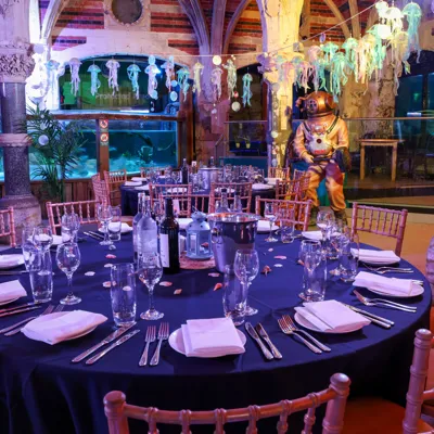 Sealifebrighton Merlinvenues Tomdingleyphoto 011