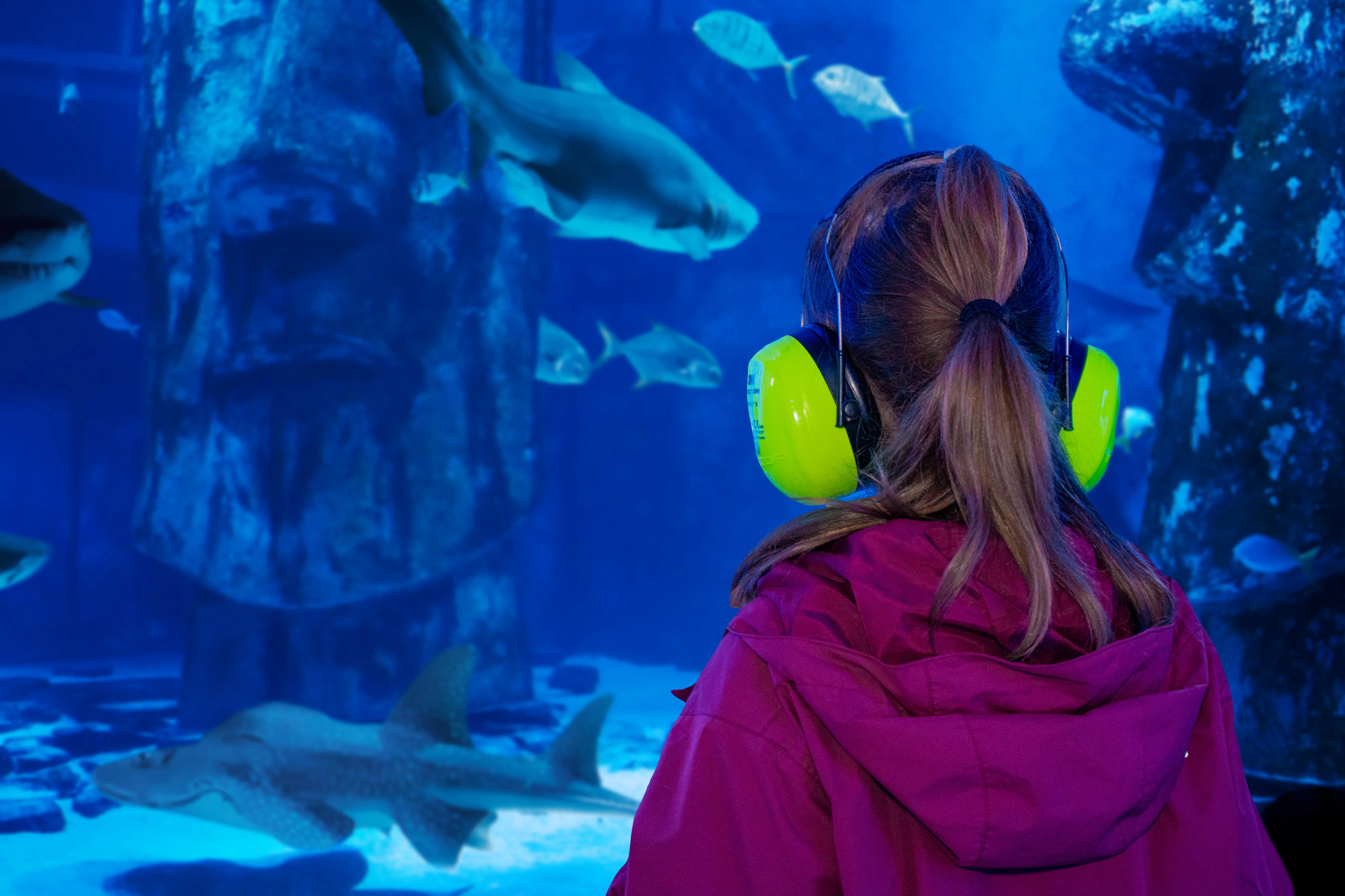 Quiet At The Aquarium