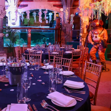 Sealifebrighton Merlinvenues Tomdingleyphoto 010