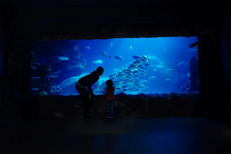 Ocean tank