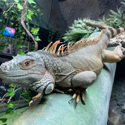 C6d58a5e 2A5d 4B85 8Ea0 Fbb97e72249a