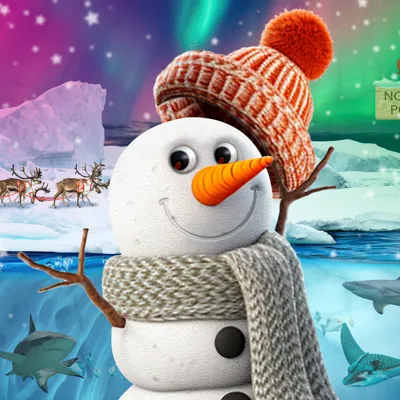 SEALIFE CHRISTMAS Event Page Additional Image 1400X1000px