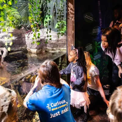 6 20250425 JC1 6738 Enhanced NR