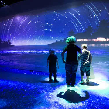 Day And Night Experience at SEA LIFE Brighton