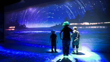 Day And Night Experience at SEA LIFE Brighton
