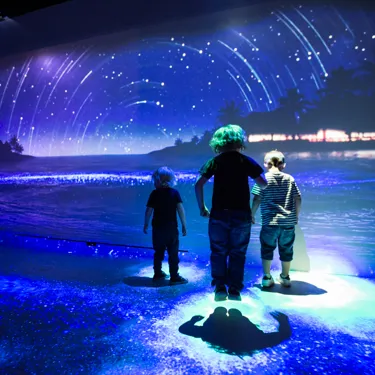 Day And Night Experience at SEA LIFE Brighton