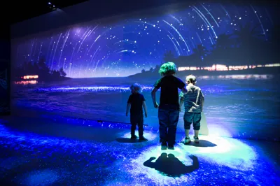 Day And Night Experience at SEA LIFE Brighton