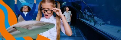 PNG 12484 SL SCHOOLS WEB BANNER BG 3 1 (1)