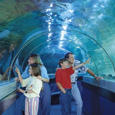 The underwater tunnel in 1991 SEA LIFE Brighton