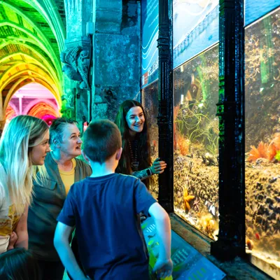 5 20250425 JC1 6431 Enhanced NR