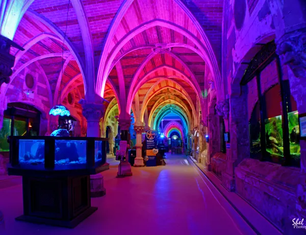 Victorian Arcade