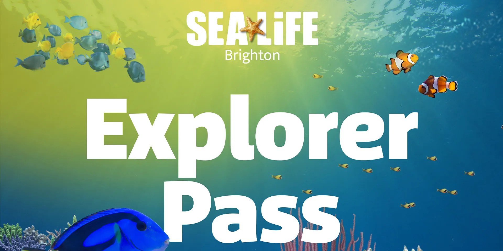 Explorer Pass Brighton