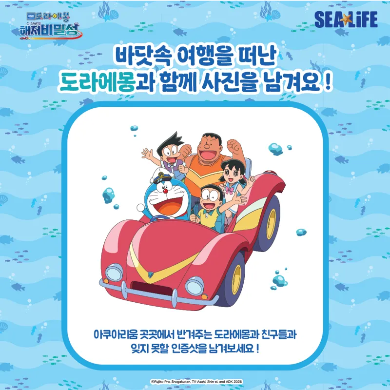 artboard-1300.png?format=webp&quality=80&width=800&height=800