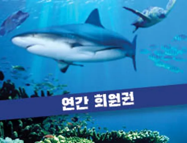 Online Ticket 연간회원권