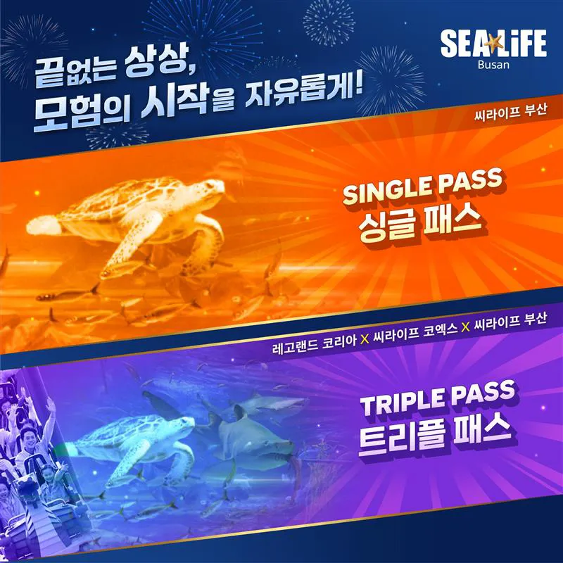 AP OPEN KV Busan 1 (1)