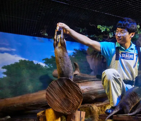 아기 수달이 먹이를 받는 모습