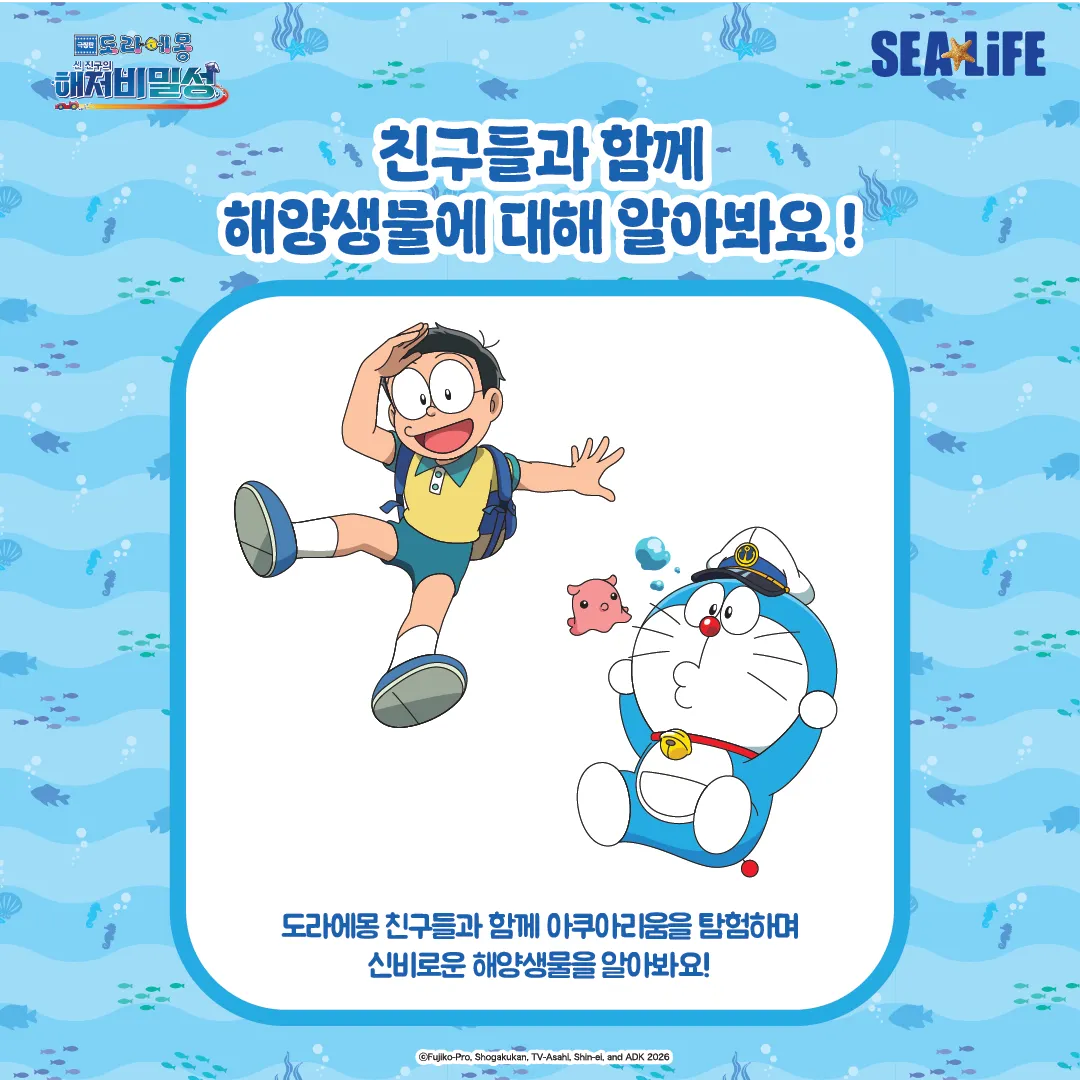 artboard-2300.png?format=webp&quality=80&width=800&height=800