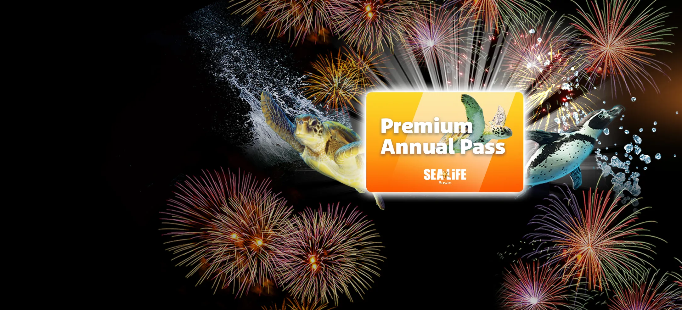 Annual Pass(Premium)