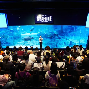 SEA LIFE Busan 상어먹이공연(2)