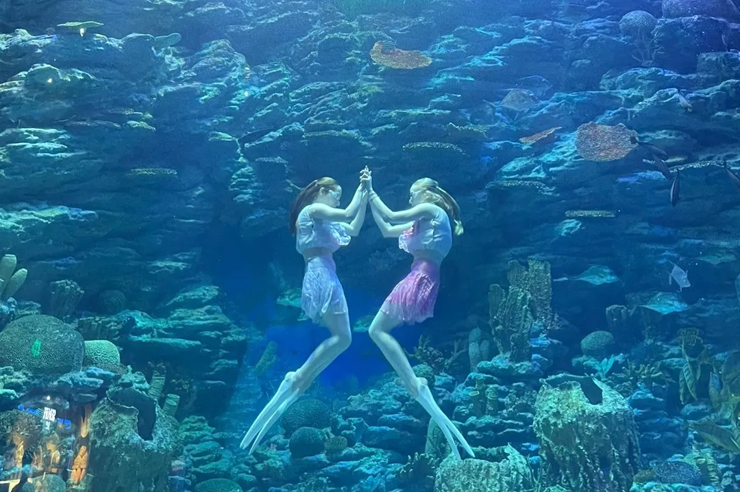 인어공주공연(손벽)